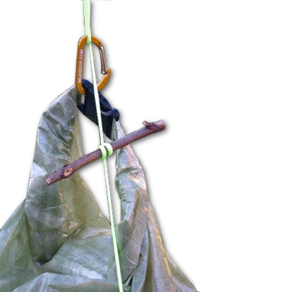 How to Hang a Bear Bag: The Right Way — Into the Backcountry