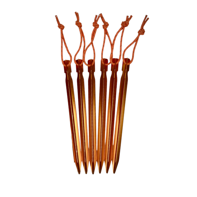 Six MLD SMART'Y stakes. They are orange with reflective pull tabs.