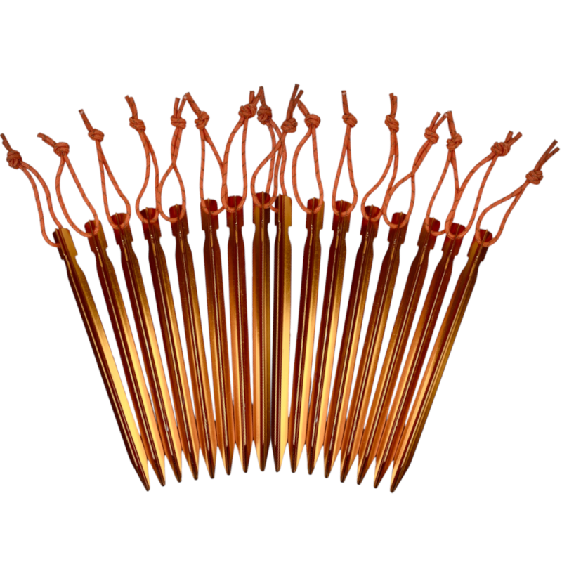 Sixteen MLD SMART'Y stakes. They are orange with reflective pull tabs.