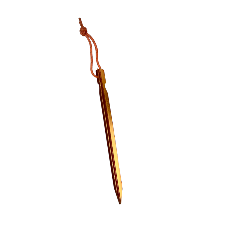 One MLD SMART'Y stake. It is orange with a reflective pull.